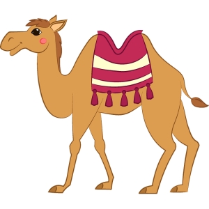 Верблюды