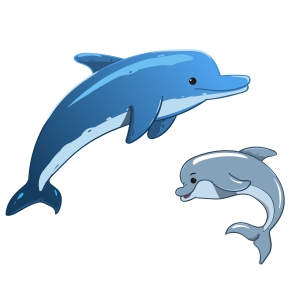Дельфины